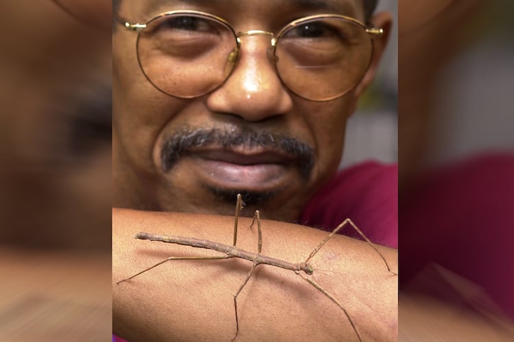 Insect expert Dr. Duane Jackson of Morehouse College, posing with a Vietnamese walking stick, also served with Zoo Atlanta and influenced a generation of students. (AJC File)