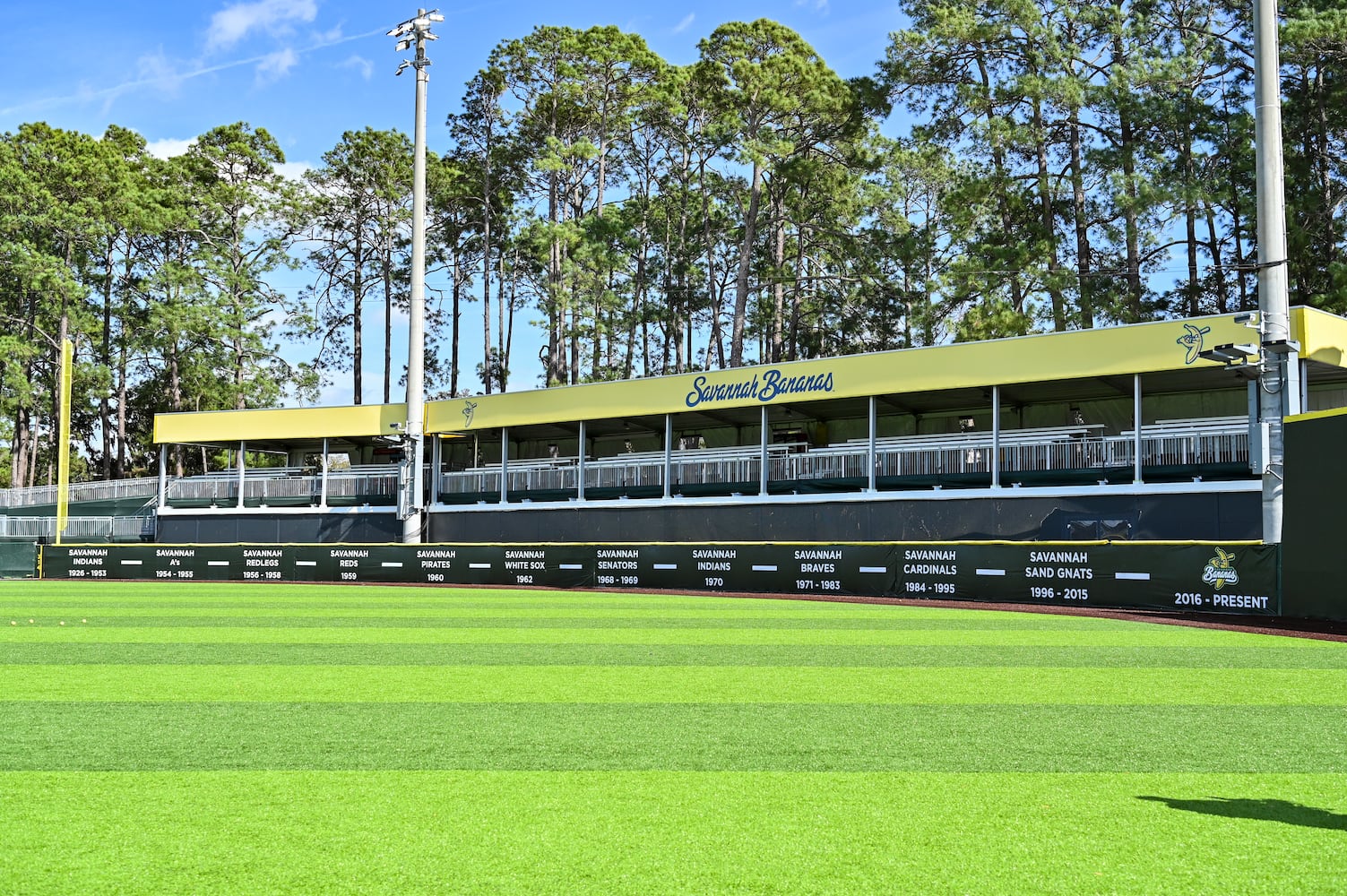 Grayson Stadium Anniversary