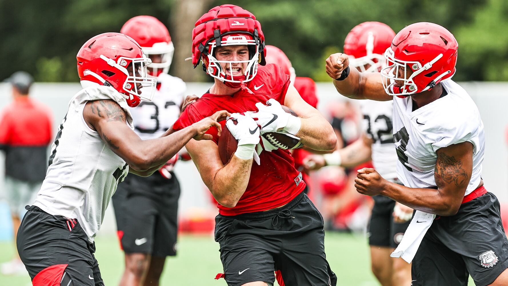 Georgia Bulldogs