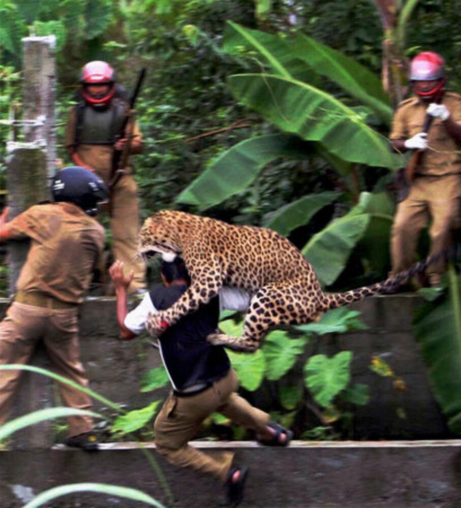AP Photographers Best Photos of 2011