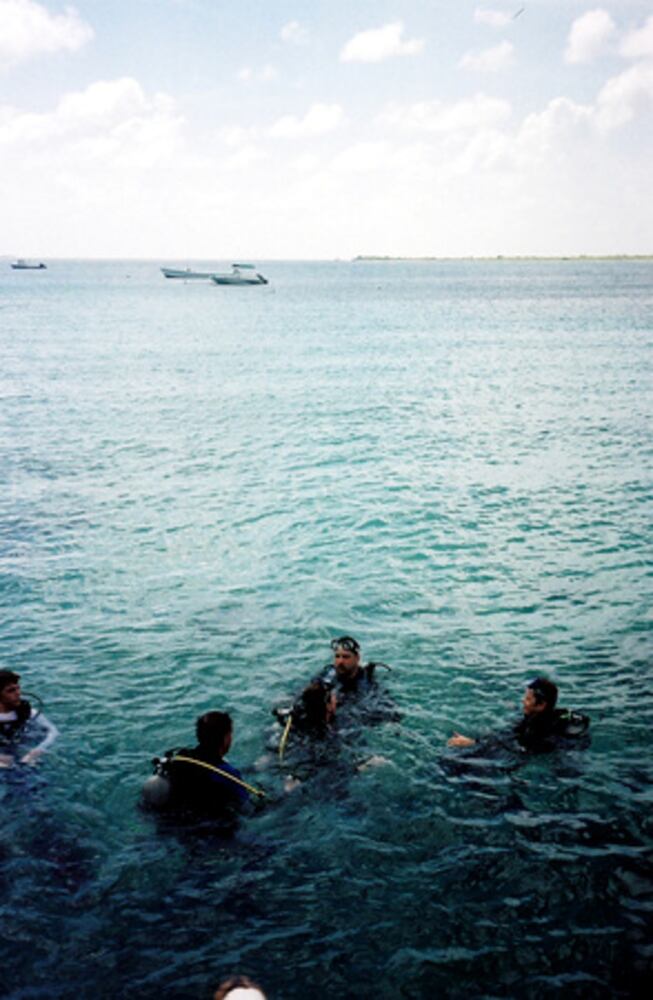 Boniare: What you'll see on this island off coast of Venezuela