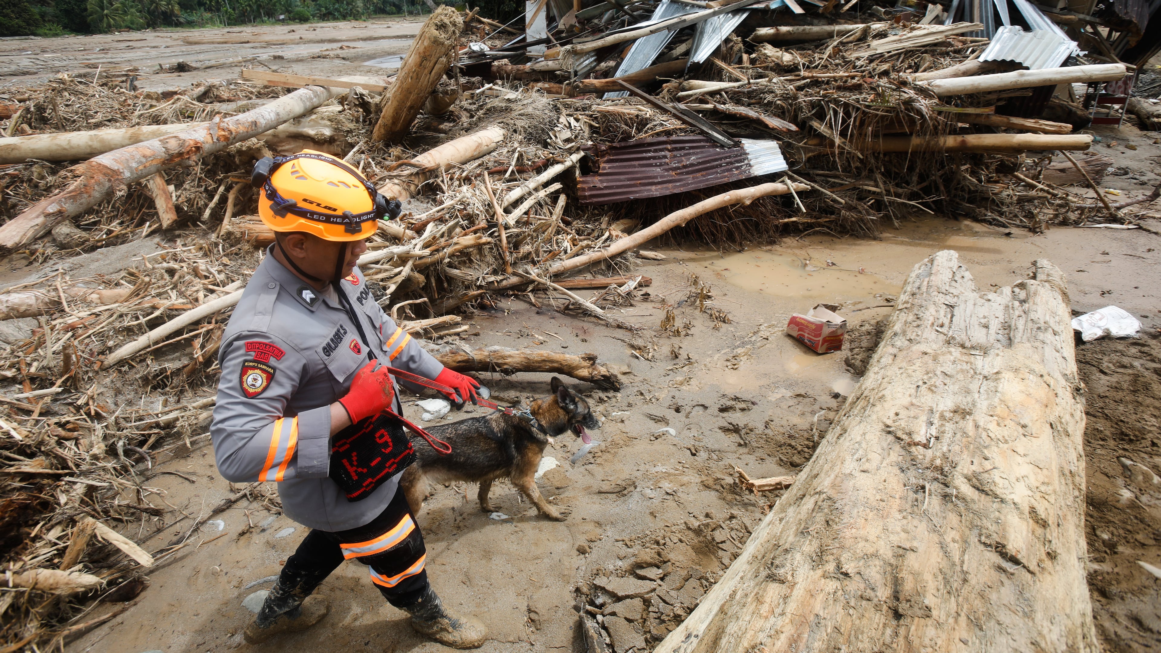 A rescuer leads a sniffer dog during a search operation for flood victims in Batang Toru, North Sumatra, Indonesia, Wednesday, Dec. 3, 2025. (AP Photo/Binsar Bakkara)