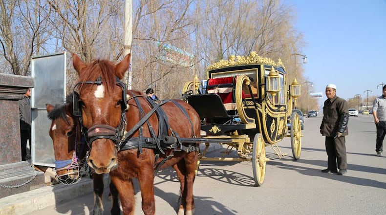 Horse-drawn carriage.