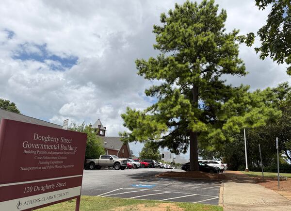 It's a loblolly pine, obviously. (Fletcher Page/AJC)