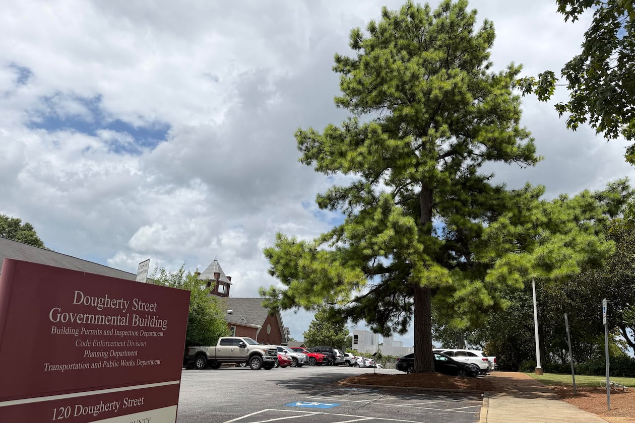 It's a loblolly pine, obviously. (Fletcher Page/AJC)