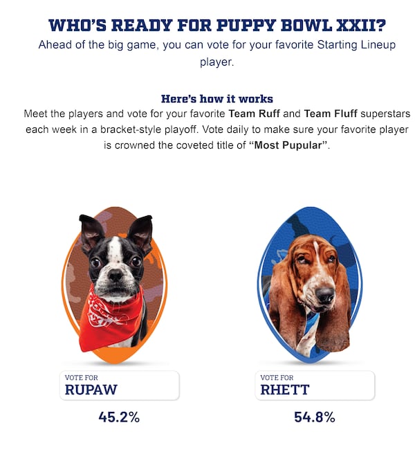 Puppy Bowl XXII features a "Pupularity" contest in which Georgia rep RuPaw is competing against Indiana's Rhett. (Courtesy of Discovery)