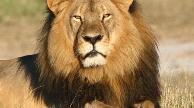 Cecil the lion