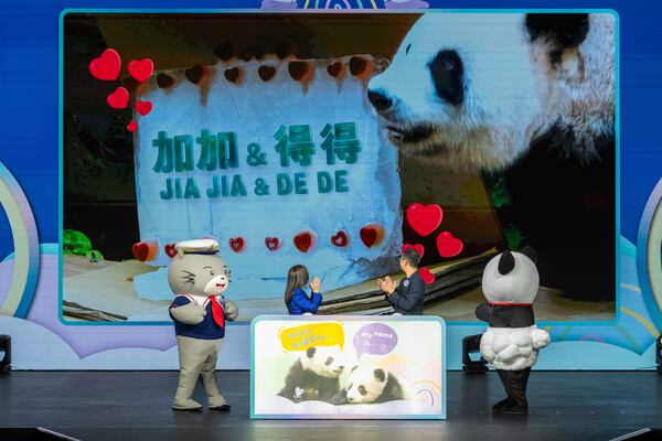 The name of the Hong Kong-born giant panda twin cubs Jia Jia and De De are displayed on the screen as Rosanna Law, secretary for Culture, Sports and Tourism of Hong Kong, left and Paulo Pong, chairman of the Ocean Park attend the naming ceremony in Hong Kong, Tuesday, May 27, 2025. (AP Photo/Chan Long Hei)