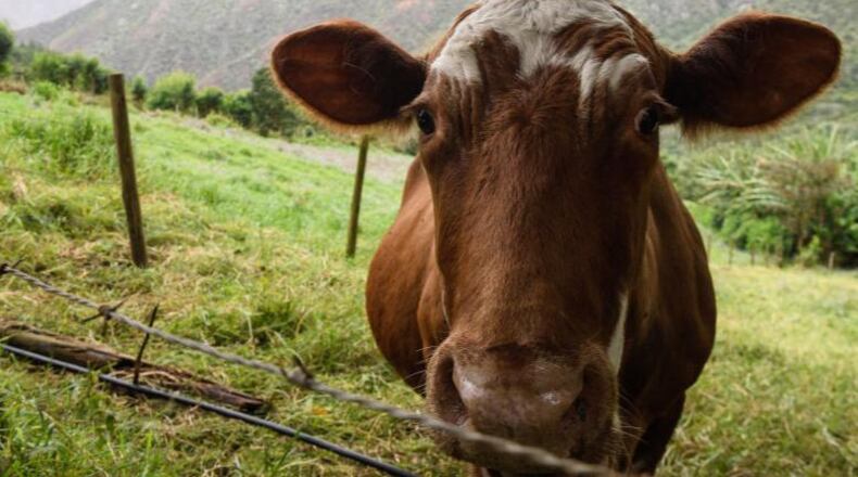 File photo.  (Photo by Leon Neal/Getty Images)