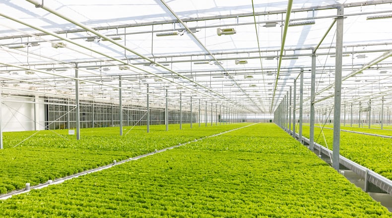 BrightFarms, which grows produce indoors, opened the first phase of its Georgia greenhouse complex in Macon in late 2024. (Courtesy of BrightFarms)