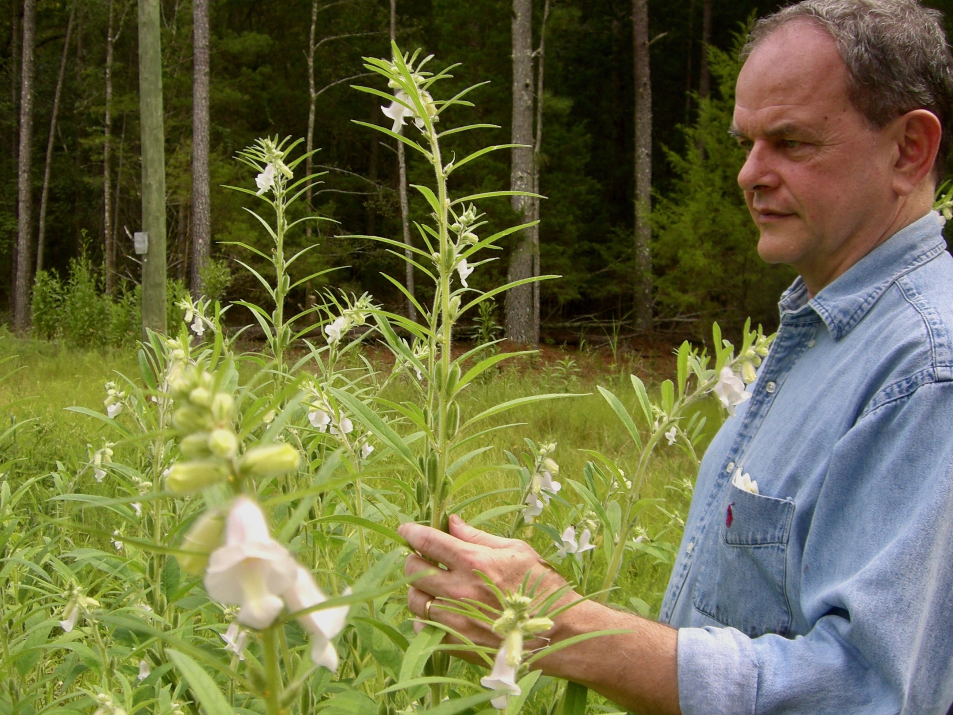 David S. Shields is a food historian and professor emeritus at the University of South Carolina. "Georgia was famous as a place that originated the greatest sweet potatoes," he says. (Courtesy of James Kibler)