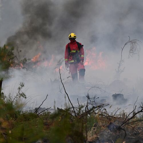 Firefighters battle a wildfire near Marcheprime, outside, Bordeaux, France, Sunday, July 26, 2026. (AP Photo/Emma Da Silva)