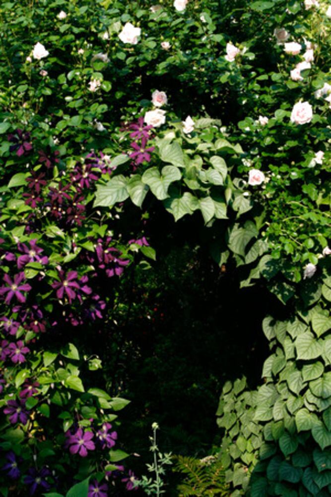 Linger in this Virginia-Highland garden
