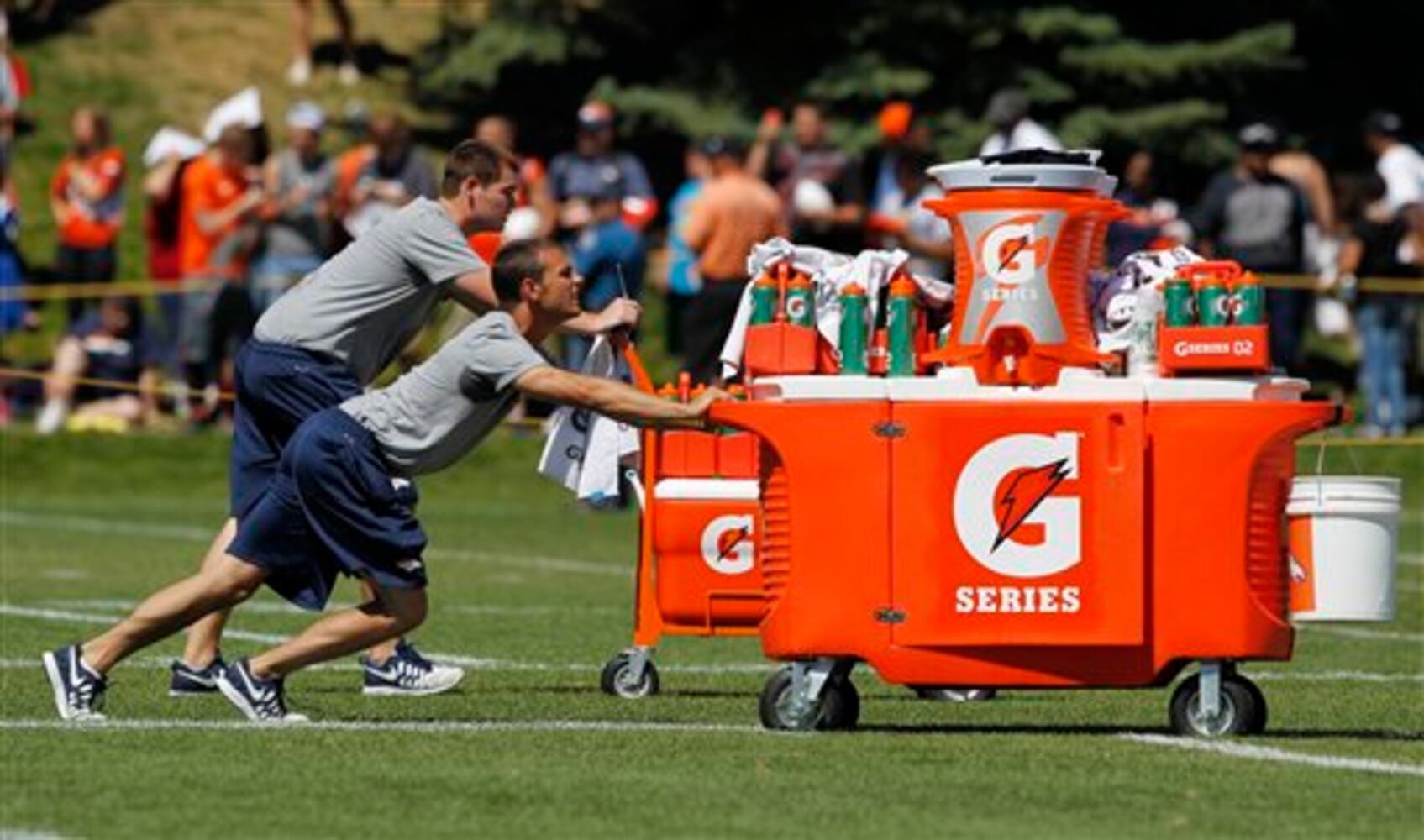 Gator vs. Gatorade: It would take 113 gallons of sport drink to equal the gator's weight