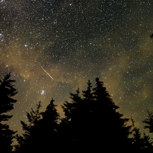A meteor streaks across the sky during the annual Perseid meteor shower, in Spruce Knob, West Virginia. (Bill Ingalls/NASA via AP 2021)