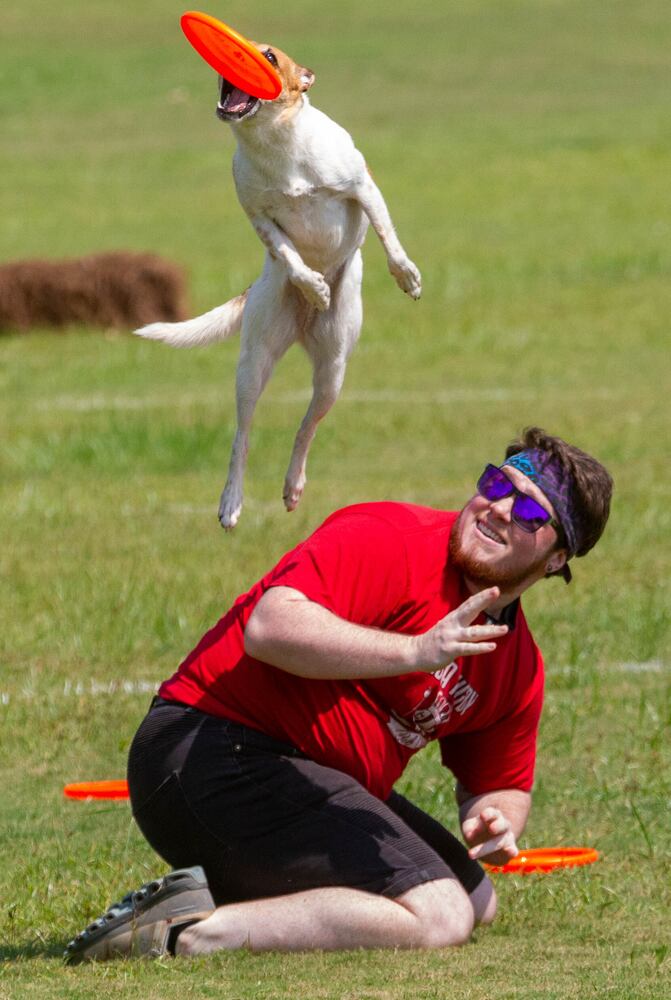 Dogwood Festival