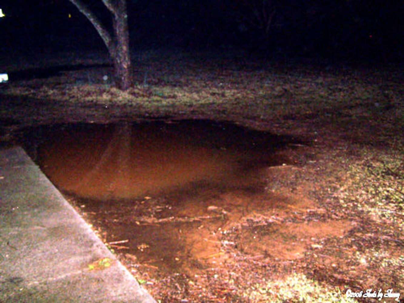 Reader photos of storm damage
