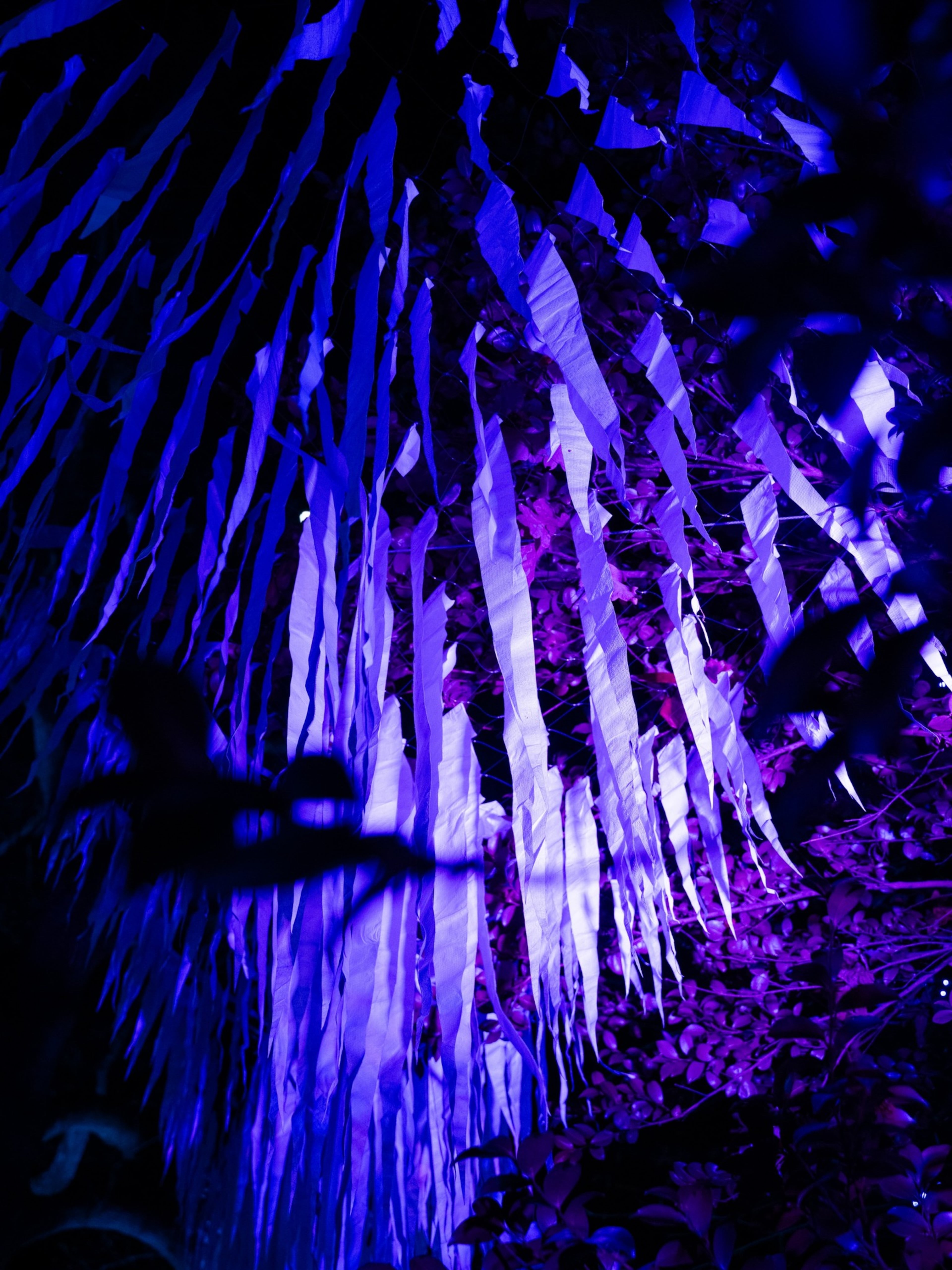 Poetic Kinetics’ “Skyline Frost” is dramatically lit during the Atlanta Botanical Garden’s Garden Lights, Holiday Nights continuing on Friday through Sunday as well as other dates. (Courtesy of Atlanta Botanical Garden)