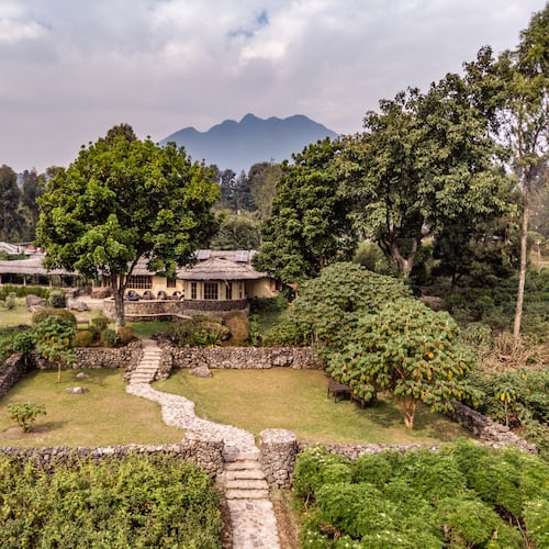 Volcanoes Safaris Mount Gahinga Lodge in Uganda allows guests to walk from the property directly into Mgahinga Gorilla National Park. (Courtesy of Volcanoes Safaris)