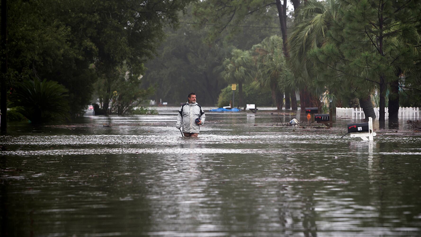 Photos: Tropical Storm Irma arrives in Georgia