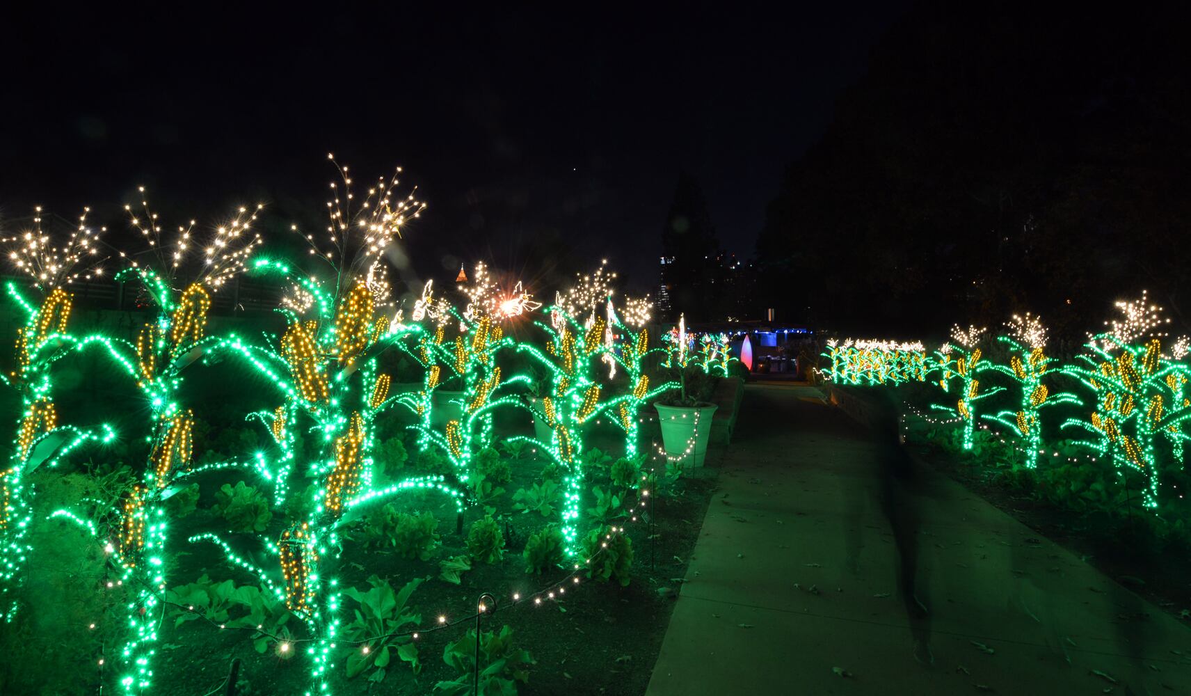 Garden Lights