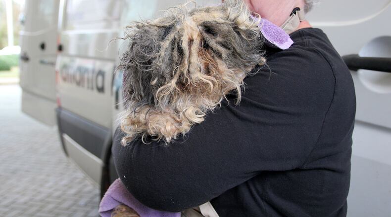 An Atlanta Humane Society volunteer carries a matted dog into the Mansell Road campus Friday. The dog started its life at a puppy mill in southwest Georgia and was rescued once authorities uncovered what they called deplorable conditions there.