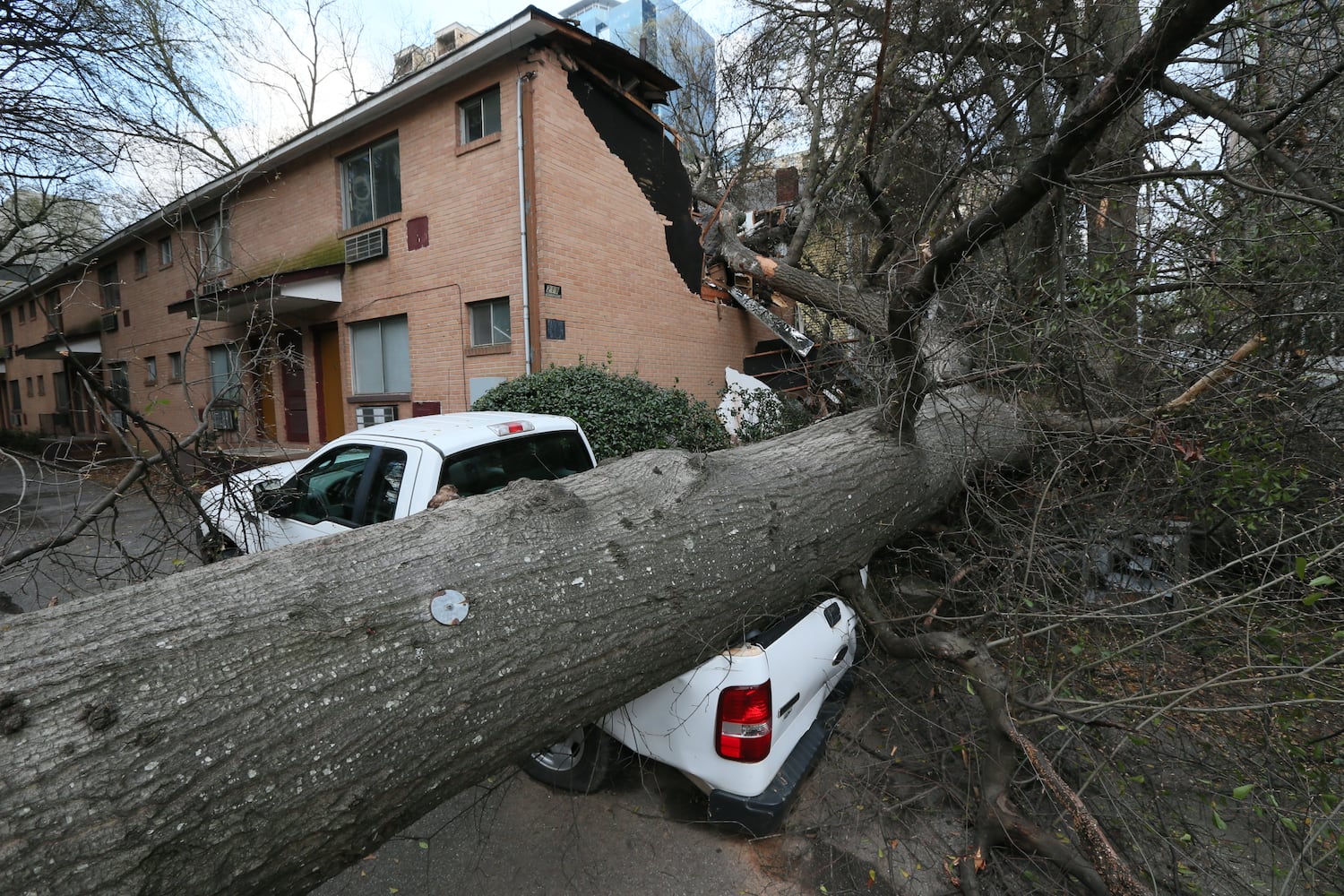 Tree falls on 13th Street west of Piedmont
