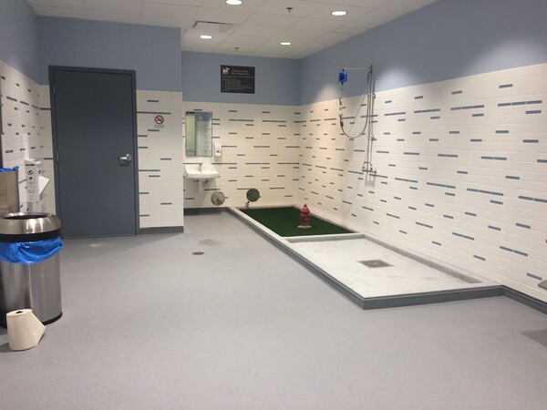 Pet relief area on Concourse C at Hartsfield-Jackson (Handout)