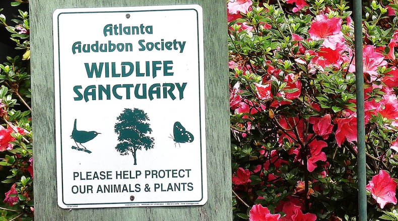 If your yard meets certain basic requirements for bird-friendly habitat, it could be certified by the Atlanta Audubon Society as a Wildlife Sanctuary. The society also would award you one of these signs to display in your yard. CHARLES SEABROOK