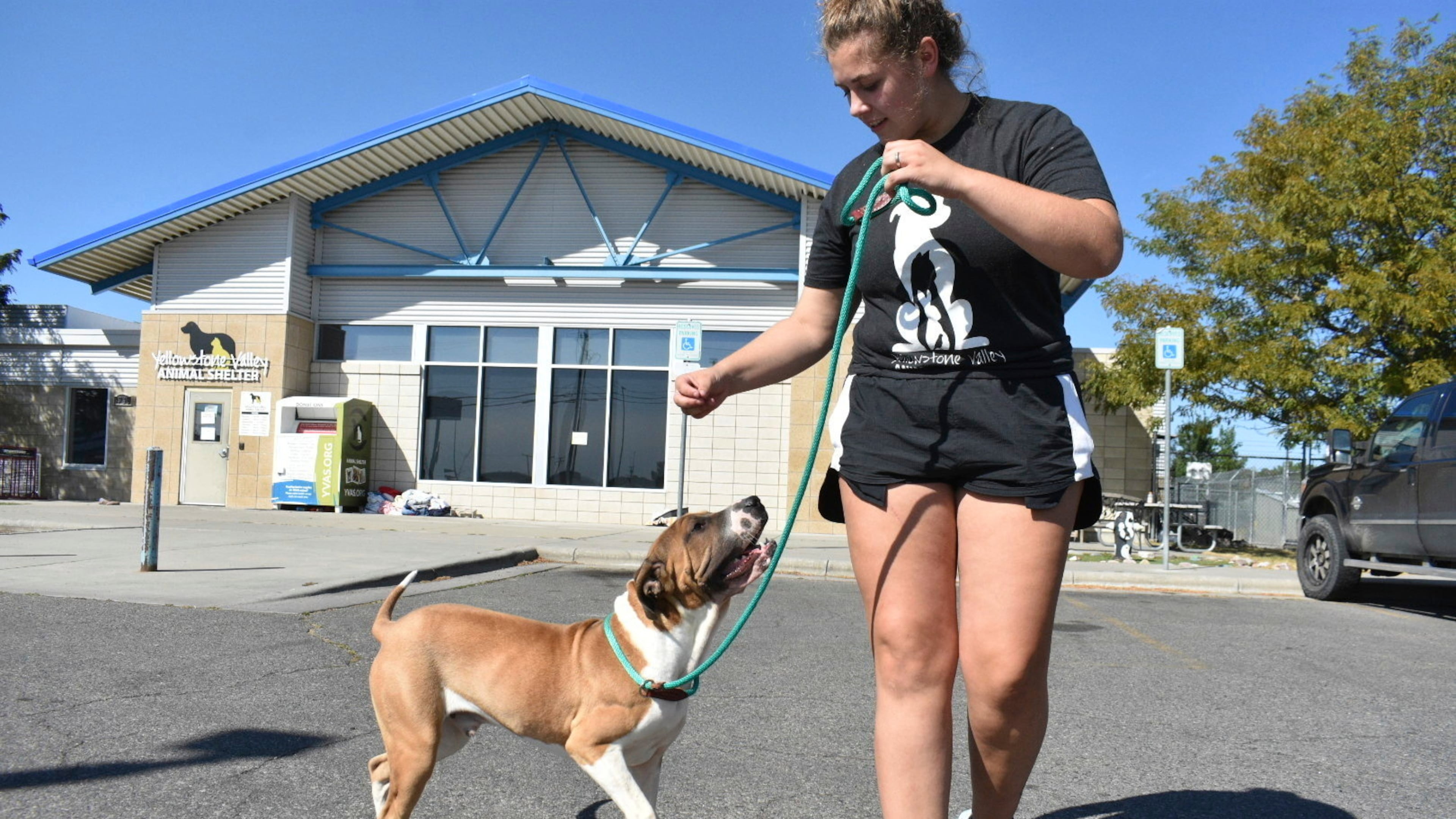 Izzy Zalenski, right, walks Paul outside the Yellowstone Valley Animal Shelter on Friday, Sept. 12, 2025, in Billings, Mont. (AP Photo/Matthew Brown)