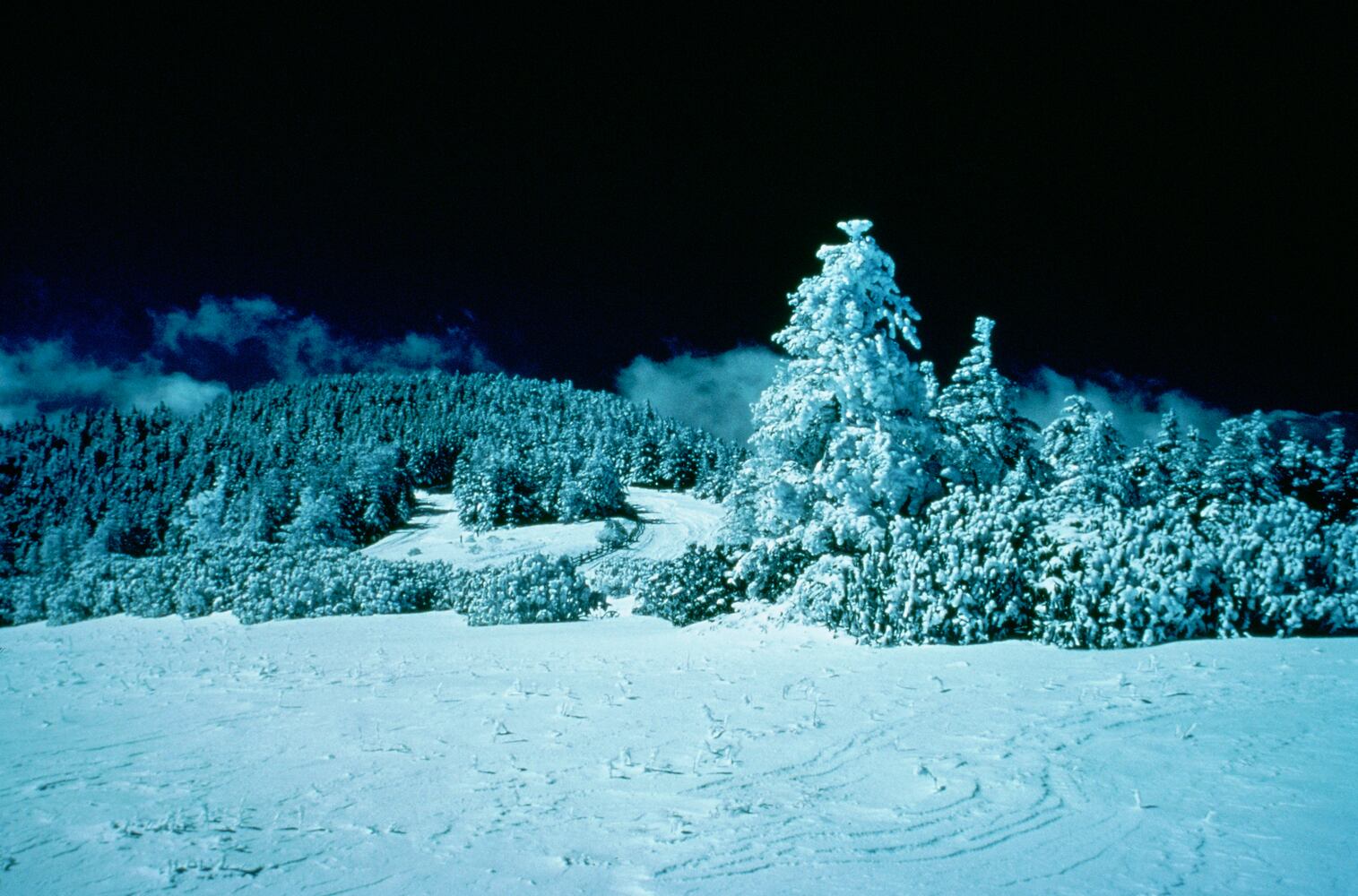 Winter landscapes; Ashville, NC