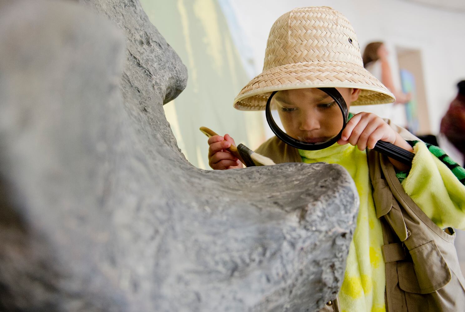 Giants of the Mesozoic at the Fernbank Museum