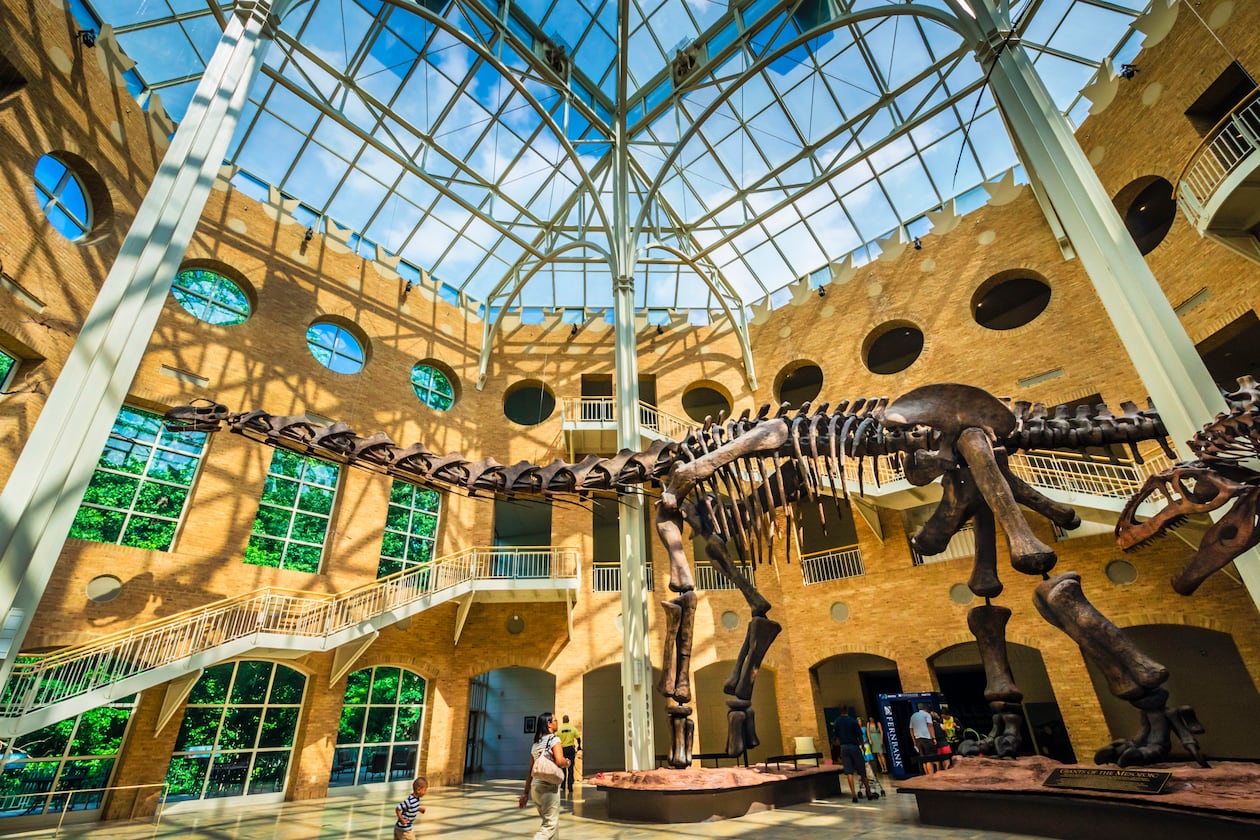 Visit a museum. There is at least one that will appeal to what interests you. How about dinosaurs at Fernbank Museum? (Courtesy of Discover DeKalb County Convention & Visitors Bureau)