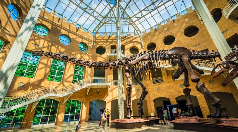 Visit a museum. There is at least one that will appeal to what interests you. How about dinosaurs at Fernbank Museum? (Courtesy of Discover DeKalb County Convention & Visitors Bureau)
