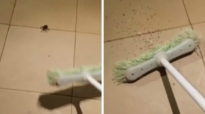 Photo credit: YouTube