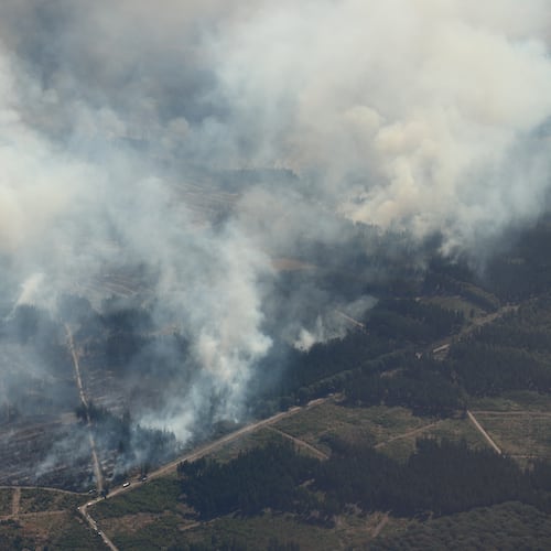 Smoke from a forest fire rises above the Hürtgenwald, in Düren, Germany, Friday, Aug. 14, 2026. (Sascha Thelen/dpa via AP)