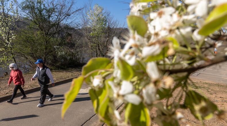 Under flowering trees, Susan and Mark Jacobson take a stroll on Thursday, March 14, 2024 at Azalea Park located in the 200 block of Azalea Drive in Roswell. Winter is giving way to Spring. (John Spink / John.Spink@ajc.com)