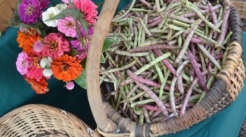 Field peas. (Courtesy of Linda Scharko)