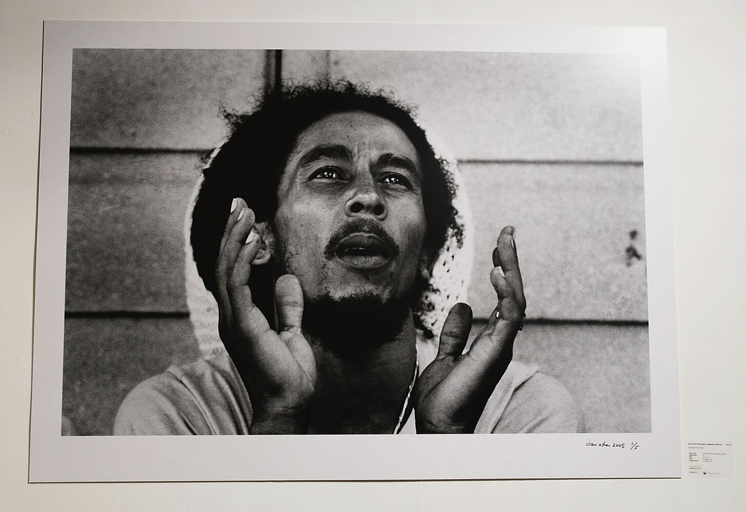 Reggae superstar Bob Marley was half white. Marley resented his white father for abandoning him as a child.