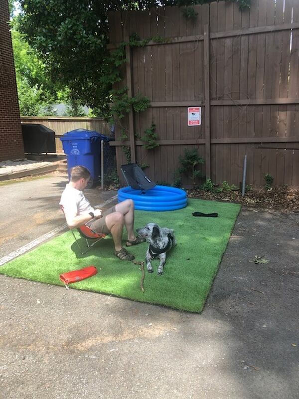 Tyler Walch and Blitzen enjoy their little piece of backyard heaven. Contributed by Stephanie Adler