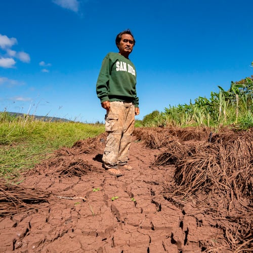 Bok Kongphan poses for a photo at his farm, Monday, May 4, 2026, in Waialua, Hawaii. (AP Photo/Mengshin Lin)