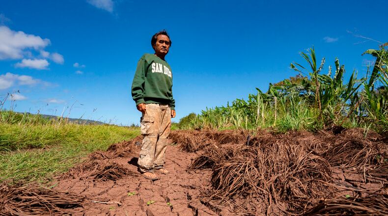 Bok Kongphan poses for a photo at his farm, Monday, May 4, 2026, in Waialua, Hawaii. (AP Photo/Mengshin Lin)