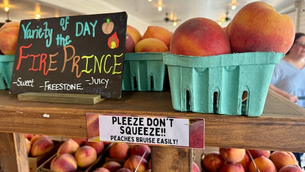 At Dickey Farms in Crawford County, the peaches are the stars — and they're precious. (Joe Kovac Jr./AJC)