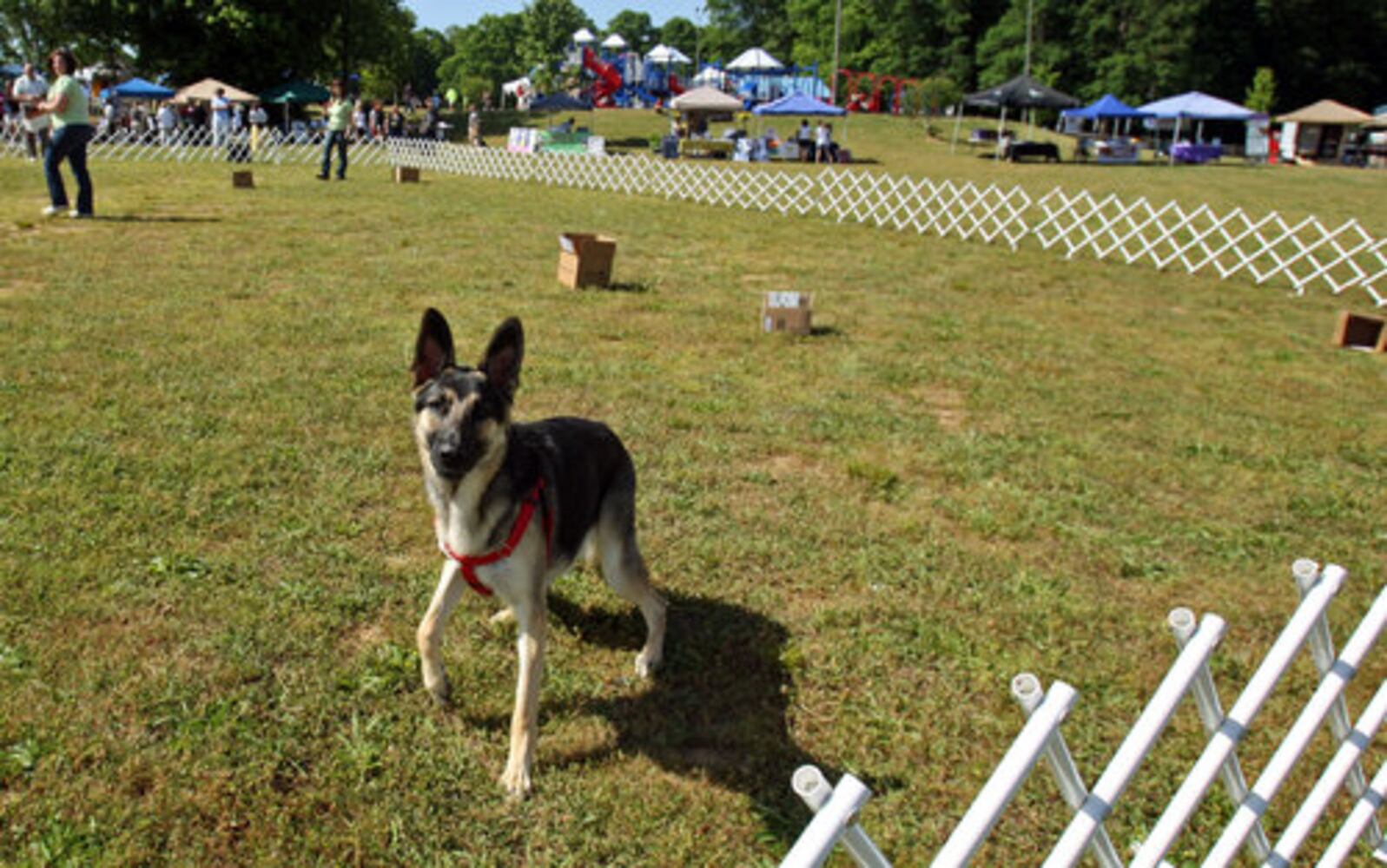 Gwinnett Humane Society's 18th Annual PAWfest