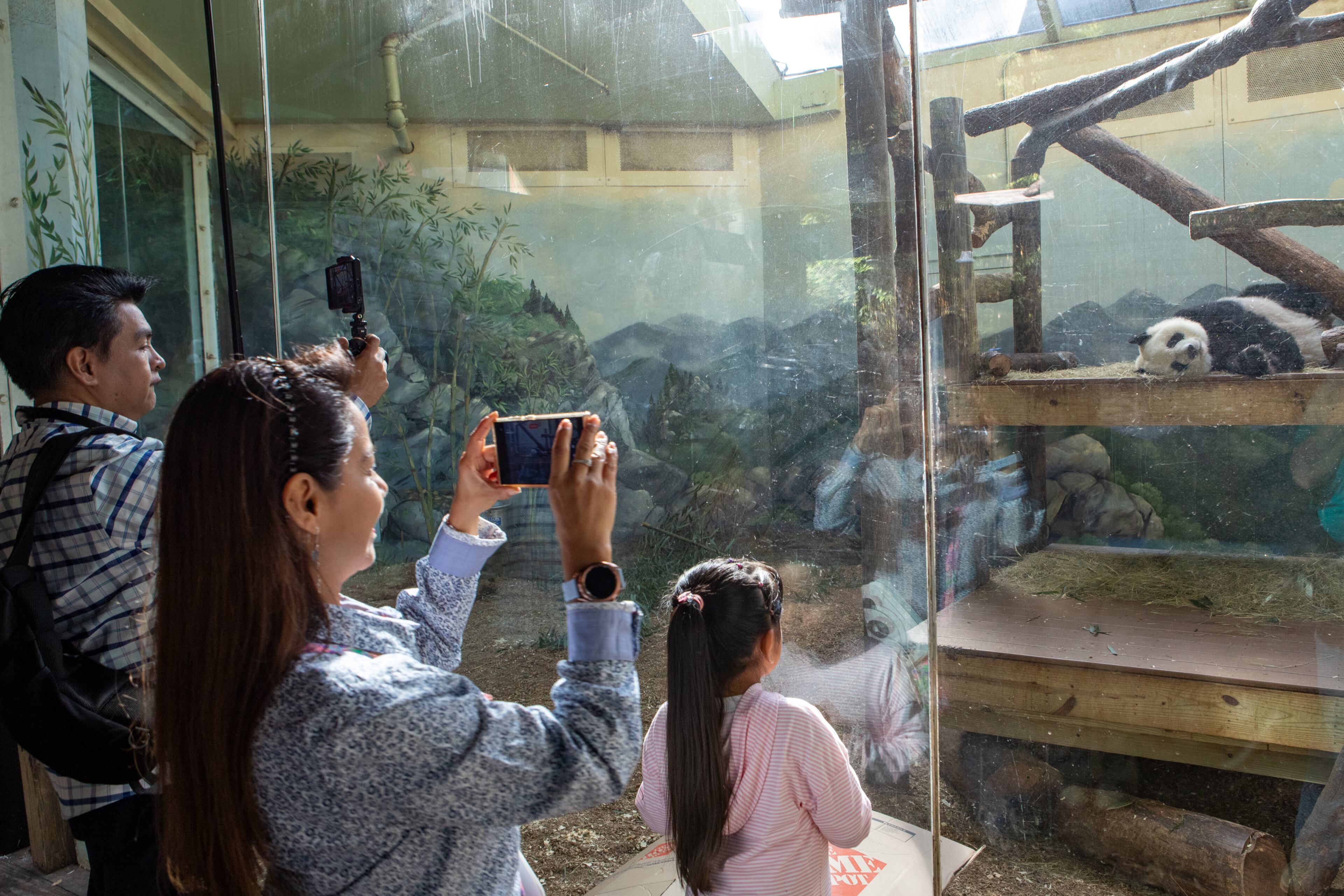 Families take photos at Zoo Atlanta. (Jenni Girtman for The Atlanta Journal-Constitution)