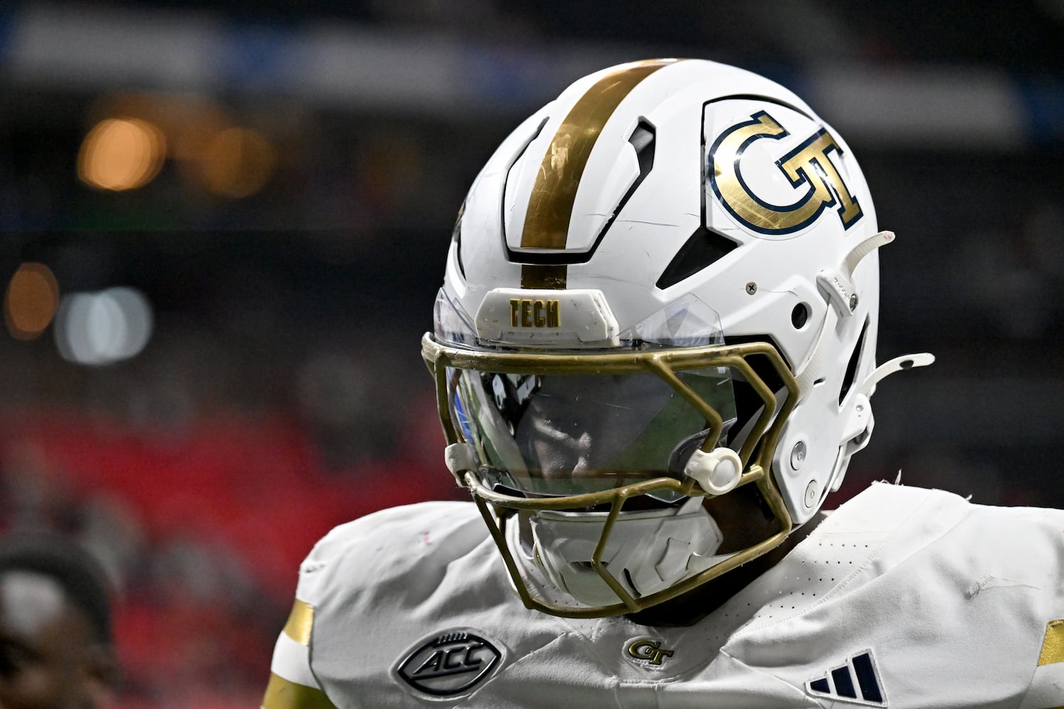 Georgia Tech vs. Georgia