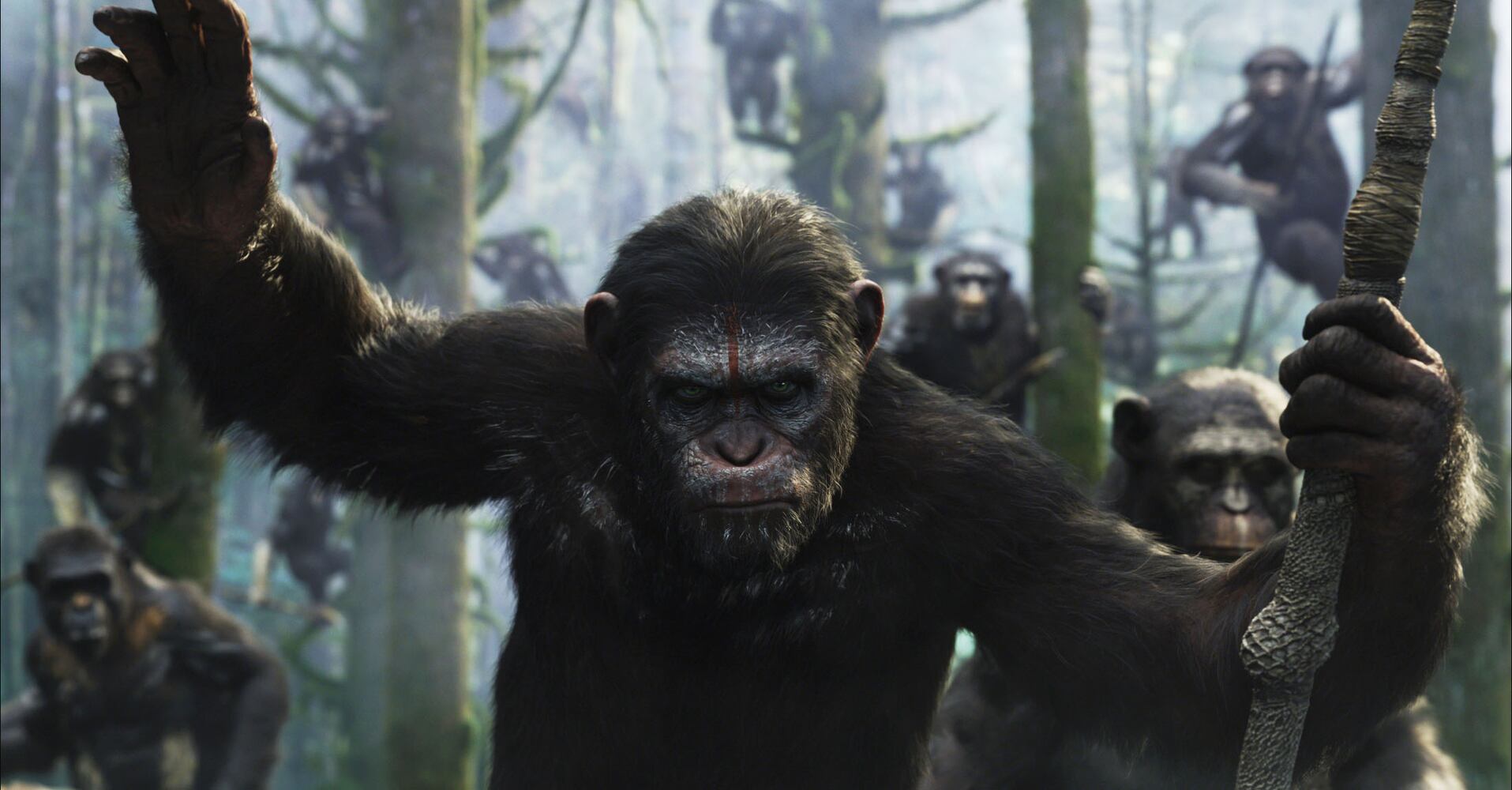 Longest-running film franchises