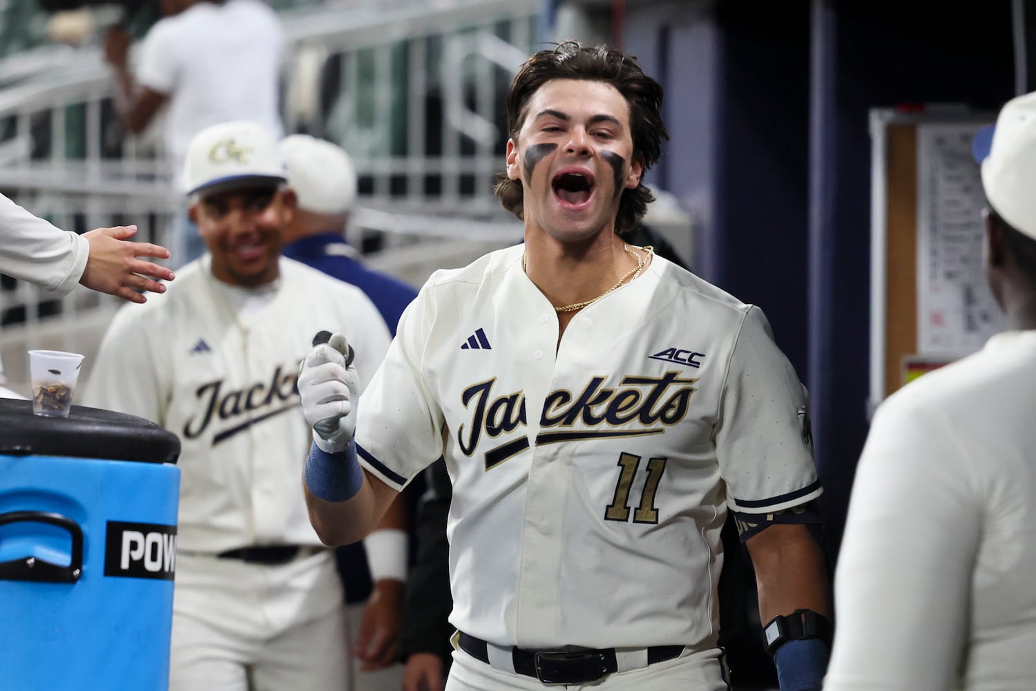 University of Georgia vs Georgia Tech in an NCAA baseball game at Truist Park
