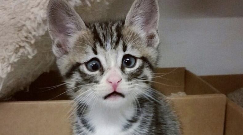 Photo credit: Instagram