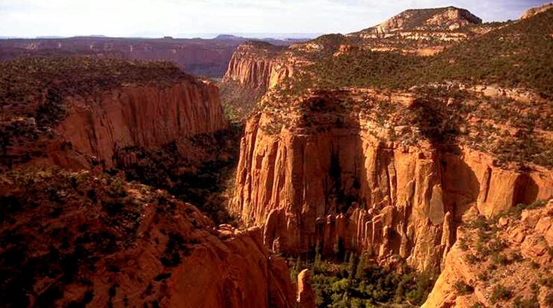 FILE- In this undated file photo, the Upper Gulch section of the Escalante Canyons within Utah's Grand Staircase-Escalante National Monument features sheer sandstone walls, broken occasionally by tributary canyons in. President Donald Trump's call to review over two dozen national monuments established by three former presidents puts in limbo protections on large swaths of land home to ancient cliff dwellings, towering Sequoias, deep, canyons and oceans habitats where seals, whales and sea turtles roam. (AP Photo/Douglas C. Pizac, file)